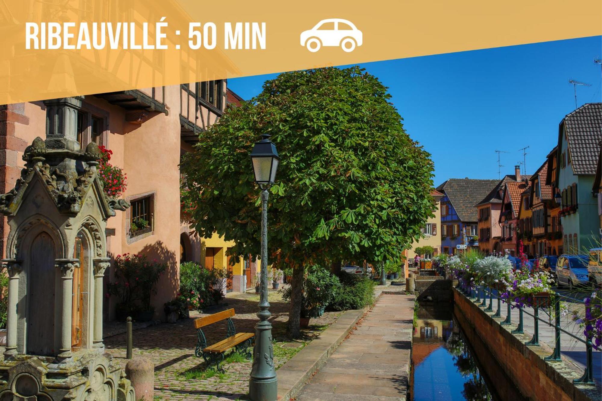 Lit Rond Tres Grand Et Confortable - Garage Possible Ou Parking Gratuit Rue - Gare 2 Min Et Ville 4 Min En Tram - Ciel Etoile - Netflix Videoprojecteur - Luxe Et Evasion Strasbourg Bagian luar foto