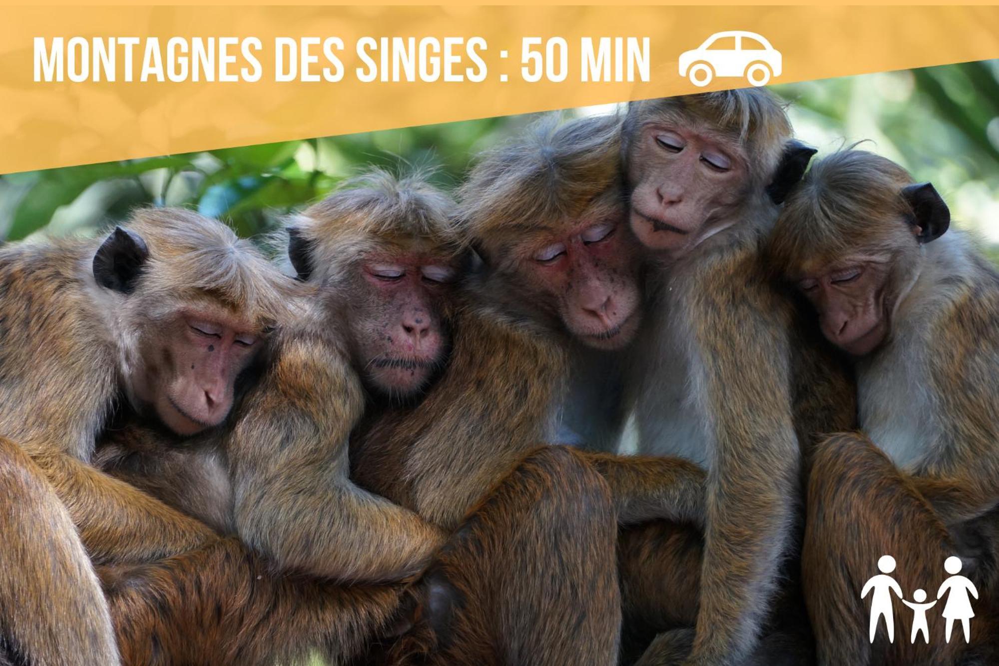 Lit Rond Tres Grand Et Confortable - Garage Possible Ou Parking Gratuit Rue - Gare 2 Min Et Ville 4 Min En Tram - Ciel Etoile - Netflix Videoprojecteur - Luxe Et Evasion Strasbourg Bagian luar foto